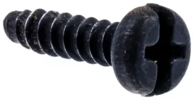 Schraube Pl4x10 Torx T20 (526221801)