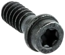 Schraube Pl6x16 T27 (525798101)