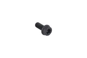 Schraube Itxscfm M5x12 T27 12.9 Tbo (525755201)