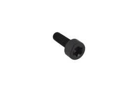 Schraube Itxscm M4x12 T27 12.9 Tbo Lock (586438501)