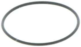 O-ring 15x0,6 (503263019)