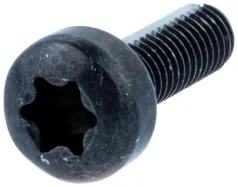 Schraube M5x16 T27 (575793501)