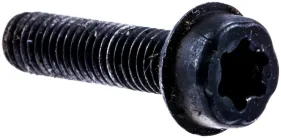 Schraube M5x20 T27 (525755203)
