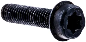 Schraube Itxscfm M5x20 (525755203)