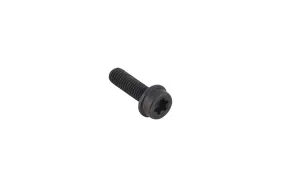 Schraube M5x16 Torx T27 (525755202)