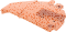 Kupplungsdeckel für Husqvarna Motorsägen 394 XP, 395 XP, 395 XP G, 395 XP W, 395 XP GW