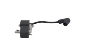 Zündmodul Mit Zündkabel (579638804)