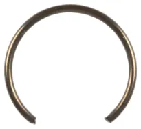 Ring (516283001)