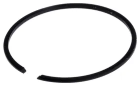 Ring (513284901)