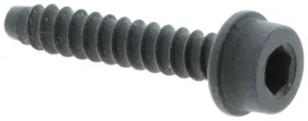 Schraube (503210725)