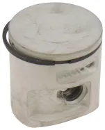 Kolben Ø42mm (544088405)