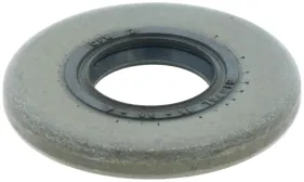 Dichtung (503261901)