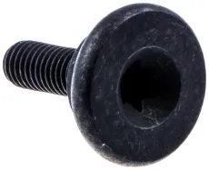 Schraube M5x14 T27 Handschutz (526834501)