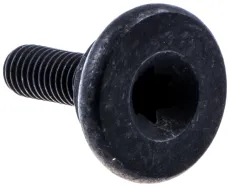 Schraube Handgepäck/ Handschutz M5x14 T27 Ch Ds (526834501)