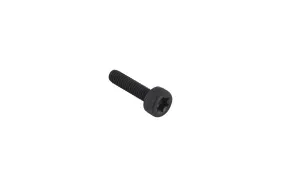 Schraube M4x16 Torx T27 (506745701)