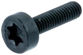 Schraube M4x15 Torx T27 (526818101)