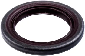 Radialdichtung (525391201)