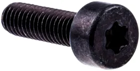 Schraube M6x20 T27 Mit Schraubensicherung (525762501)