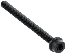 Schraube Itxscfm M4x50 T20 12.9 (581143101)