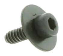 Schraube (503205216)