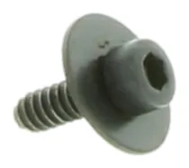 Schraube (503205216)