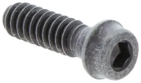 Schraube (503218874)