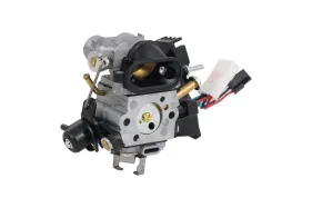 Carburettor Kit (591158303)