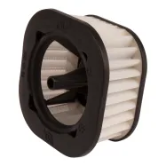 Luftfilter Kpl. (593258803) (593258803)