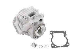 Cylinder Kit (597054203)
