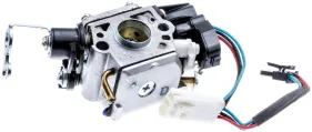 Vergaser Und Luftfilter (walbro) (579193001)