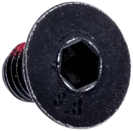 Schraube Ihcsfm (535139401)