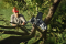 Husqvarna Akku-Hochentaster Aspire PE5-P4A (ohne Akku)