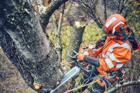 Husqvarna Motorsäge 560 XP® Mark II (18") - aktuelles Modell