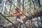 Husqvarna Motorsäge 562 XP® G Mark II (18") aktuelles Modell