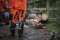 Husqvarna Akku-Motorsäge 540iXP 16" mit Ölsensor (ohne Akku)