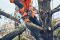 Husqvarna Akku-Motorsäge T542i XP 14" (ohne Akku)