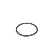 Dichtung (529516301)