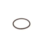 Dichtung Messermotor (529516301)