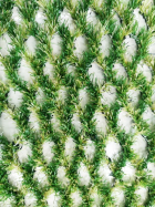 Automower Installation Hybrid-Gras Kit 80cm x 80cm