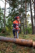 Husqvarna Motorsäge 550 XP® Mark II (18" 45cm) - neuestes Modell - betriebsfertig montiert