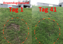 Husqvarna Installation Hybrid-Gras Kit (598896001) - Retoure mit größeren Gebrauchsspuren