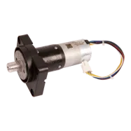 Rad Motor (599683402)